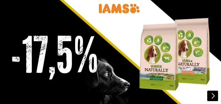 iams 2,7kg en 3 kg zakken hondenvoer 17,5% korting DOG